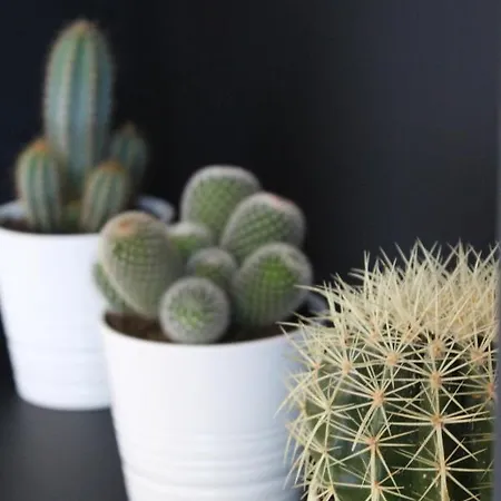 Maison Caju - Frühstückspension