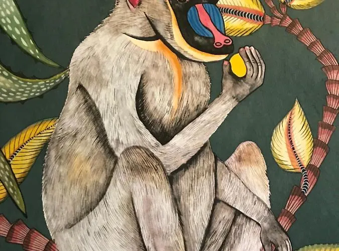 Bed & Breakfast Maison Caju - La Rochelle (Charente-Maritime)